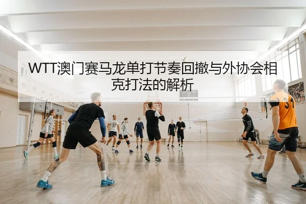 WTT澳门赛马龙单打节奏回撤与外协会相克打法的解析
